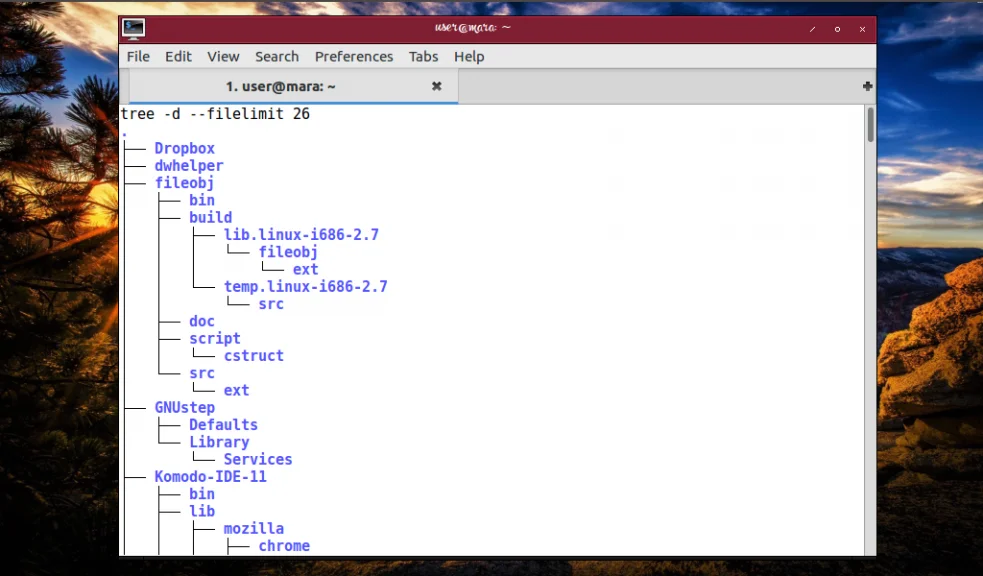 Tree: Ваш гид по джунглям файловой системы Linux