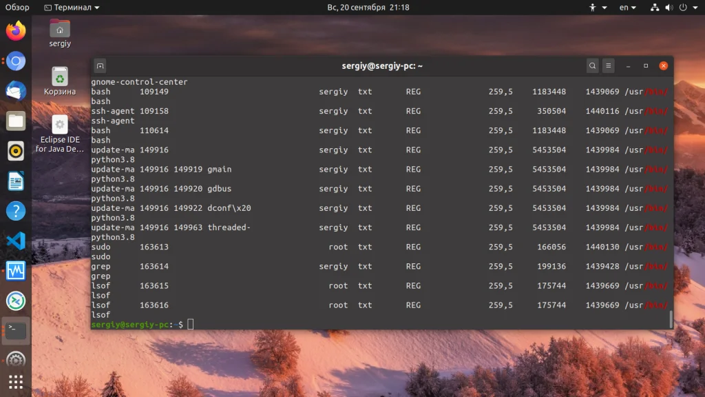 Ubuntu: Полная диагностика вашего ПК за 5 минут