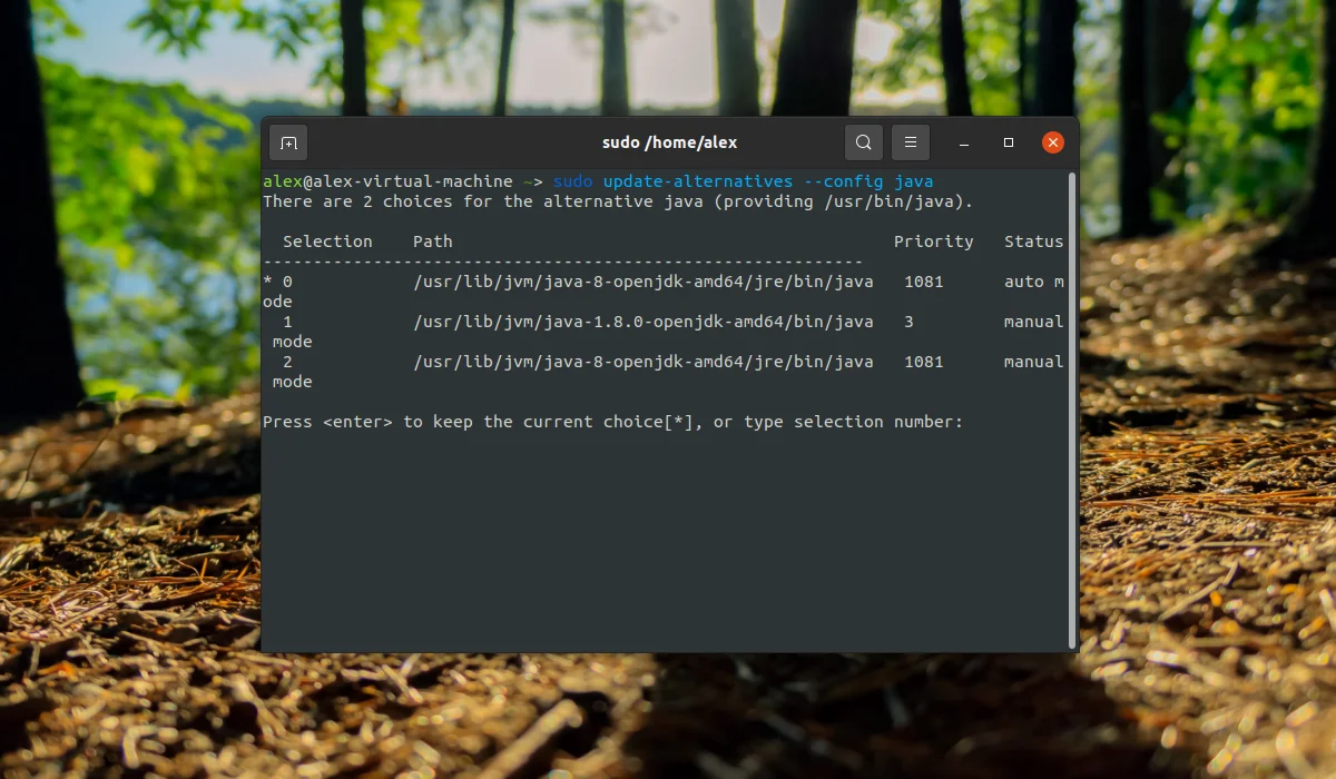 Java в Ubuntu 20.04: Полное руководство по установке всех версий