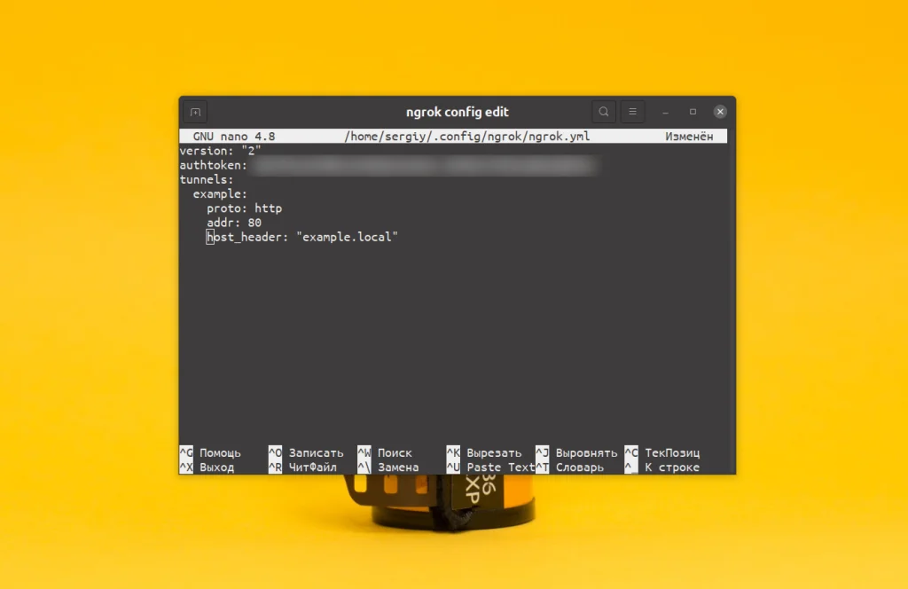 Ngrok: Как вывести локальный сервер в интернет за 5 минут