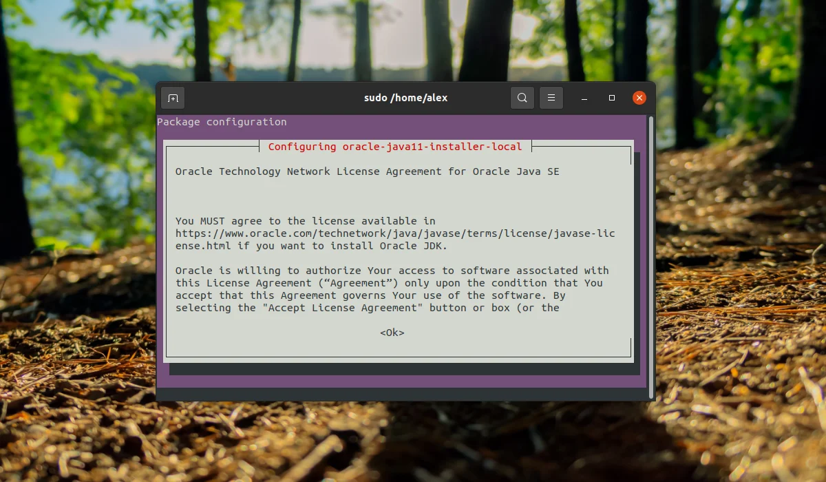 Java в Ubuntu 20.04: Полное руководство по установке всех версий