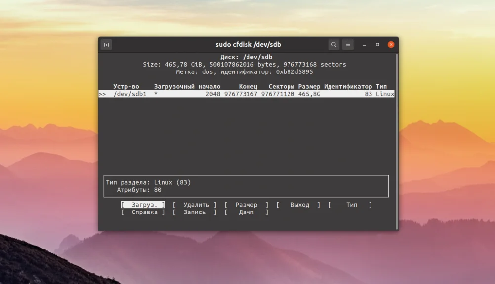 Cfdisk: Освой разметку диска в Linux за 5 минут