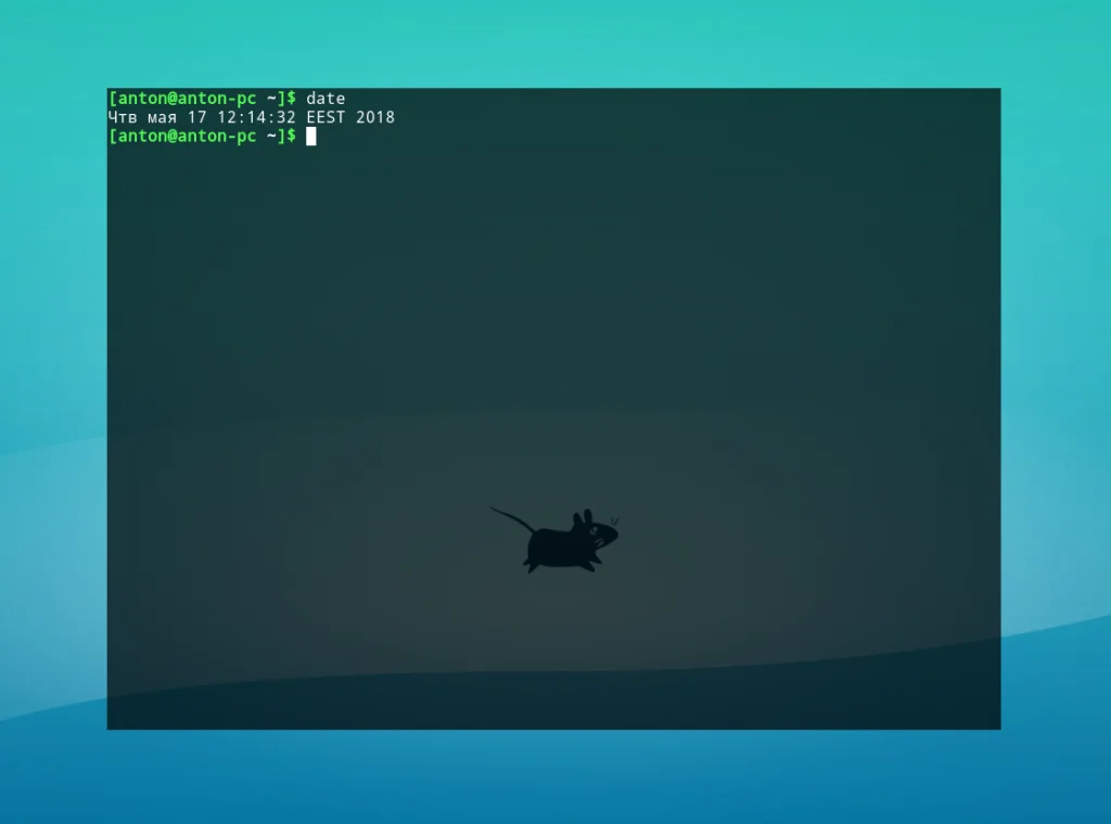 Тайм-менеджмент в терминале: Как команда date в Linux делает больше, чем вы думаете