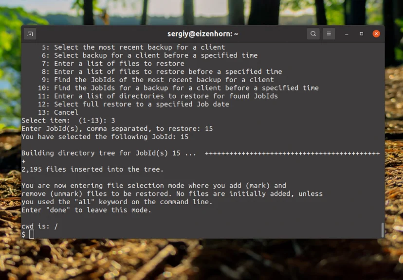 Bacula: Настройте надежное резервное копирование на Linux за 6 шагов