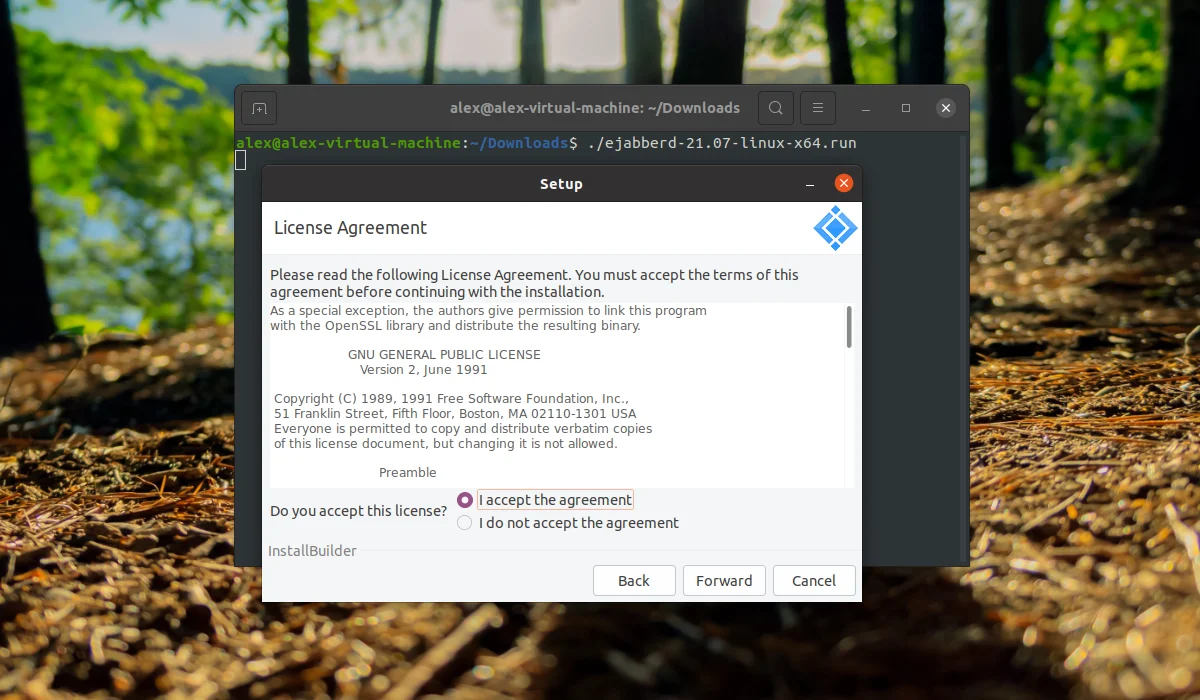 Свой Jabber-сервер на Ubuntu 20.04 за 5 минут: полный гайд по установке ejabberd