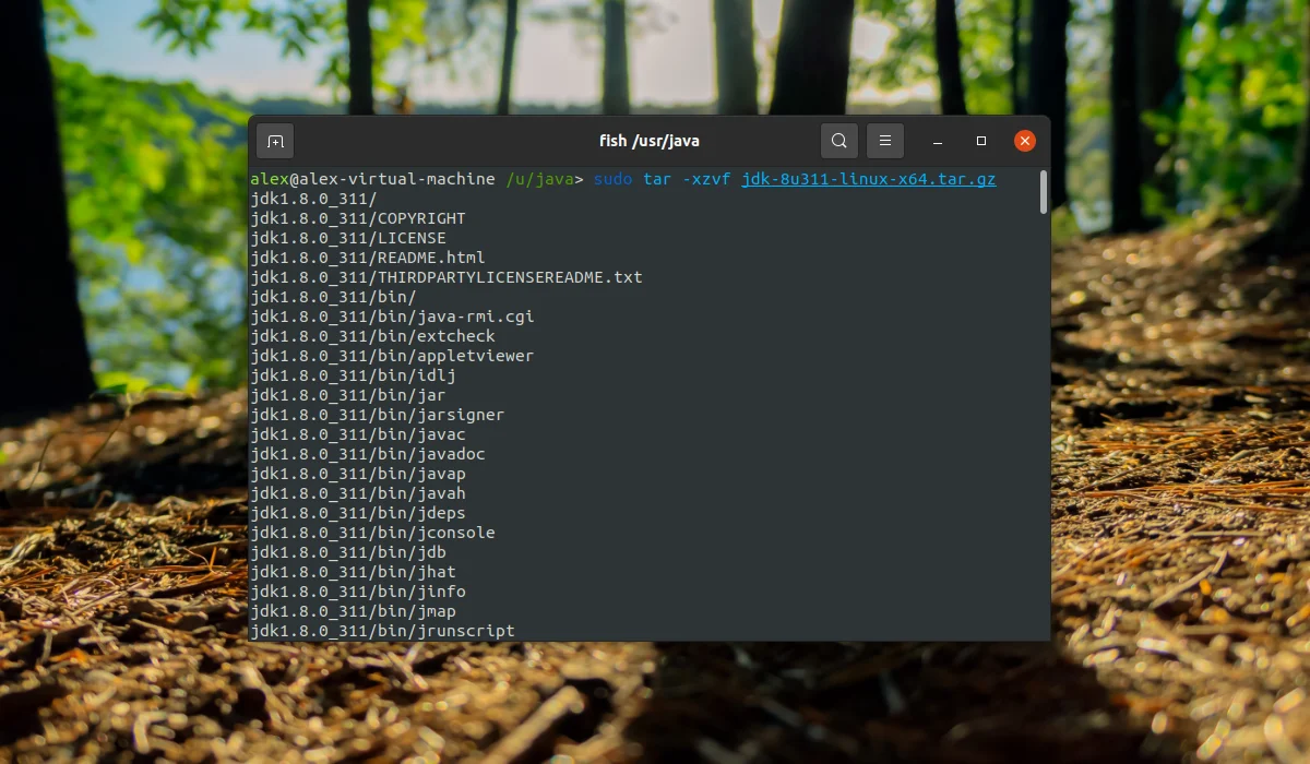 Java в Linux: Полное руководство по установке JDK и JRE для Ubuntu, CentOS и Arch