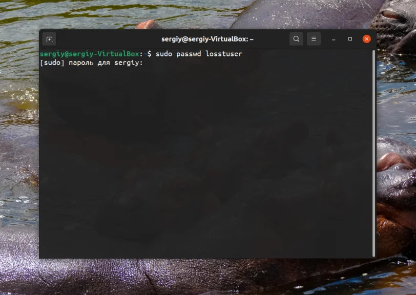 Забыли пароль Ubuntu? Верните доступ за 5 минут!