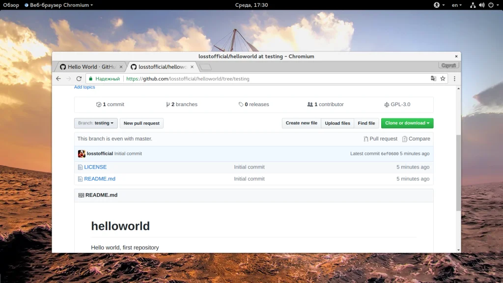 GitHub с нуля: Полное руководство для начинающих разработчиков