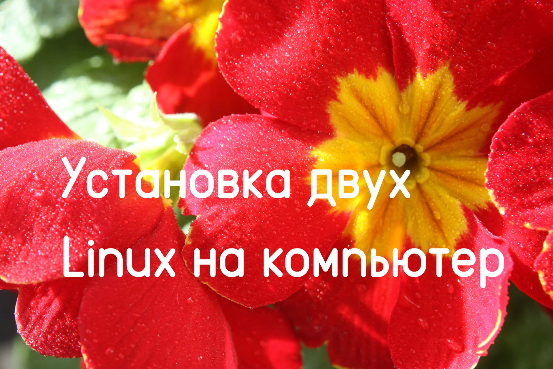 Два Linux на одном ПК: полный гайд по установке и настройке