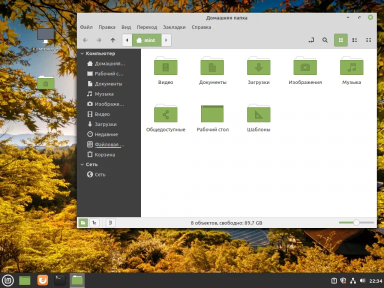 Linux Mint по-русски: Полная русификация за 5 простых шагов