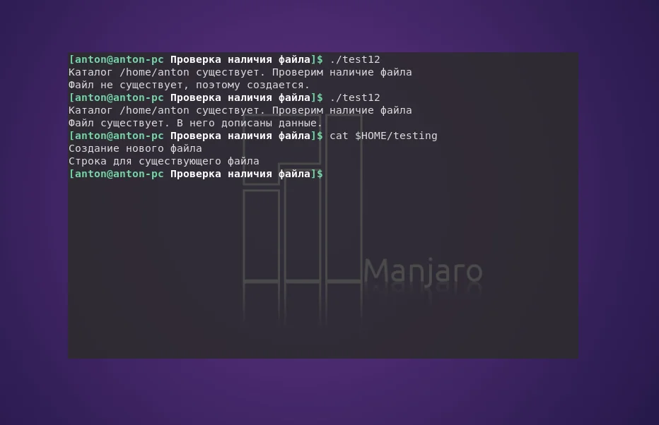 Bash: Как проверить существование файла и избежать ошибок в скриптах