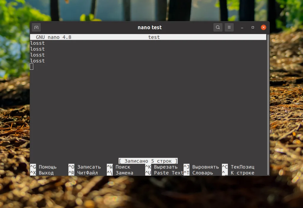 Сохраняем в nano без стресса: 2 простых способа для новичков Linux