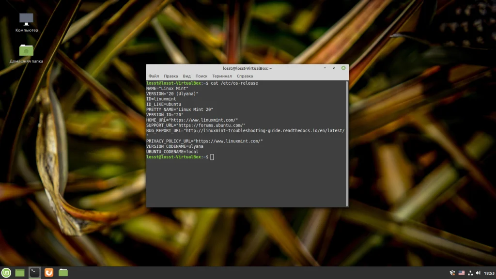 Обновляем Linux Mint до 20 «Ульяна»: пошаговая инструкция для бесшовного перехода