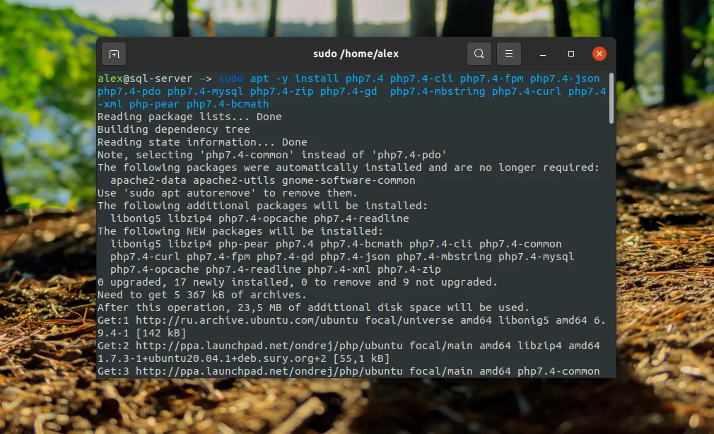 Nginx + PHP-FPM на Ubuntu 20.04: Полное руководство по настройке мощного связующего звена