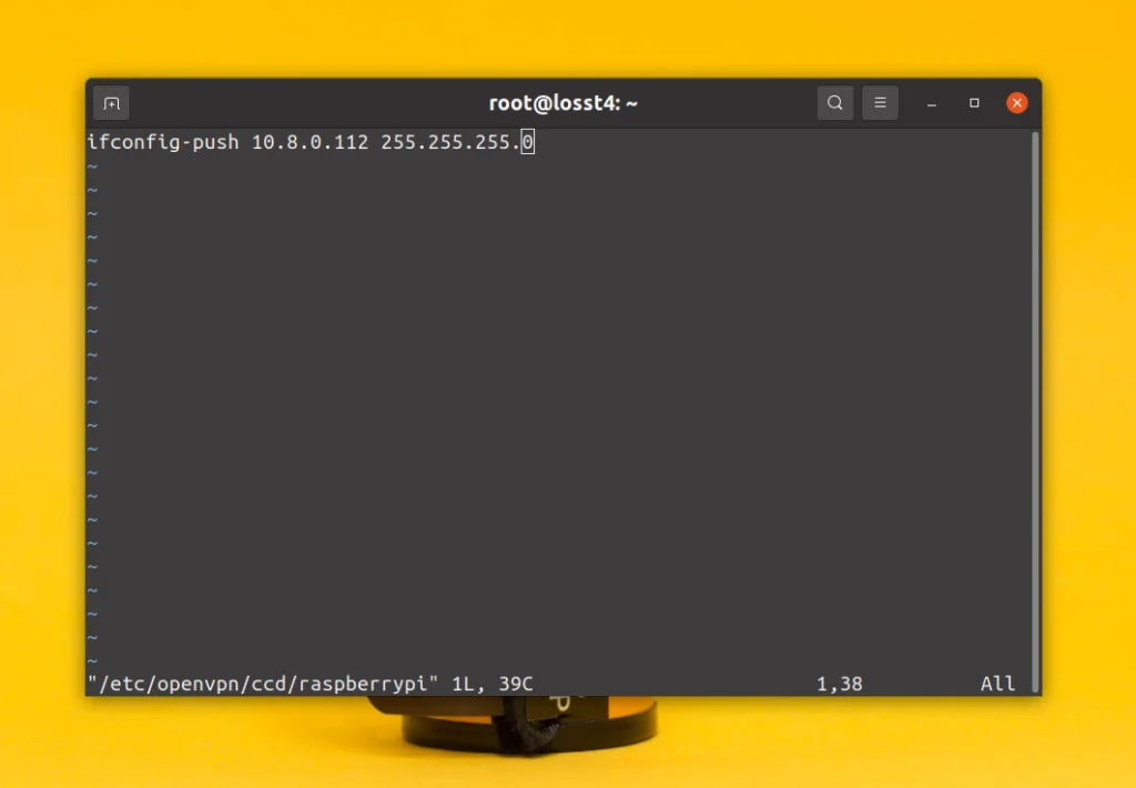 Забудьте о смене IP: Как закрепить постоянный адрес для устройств в OpenVPN