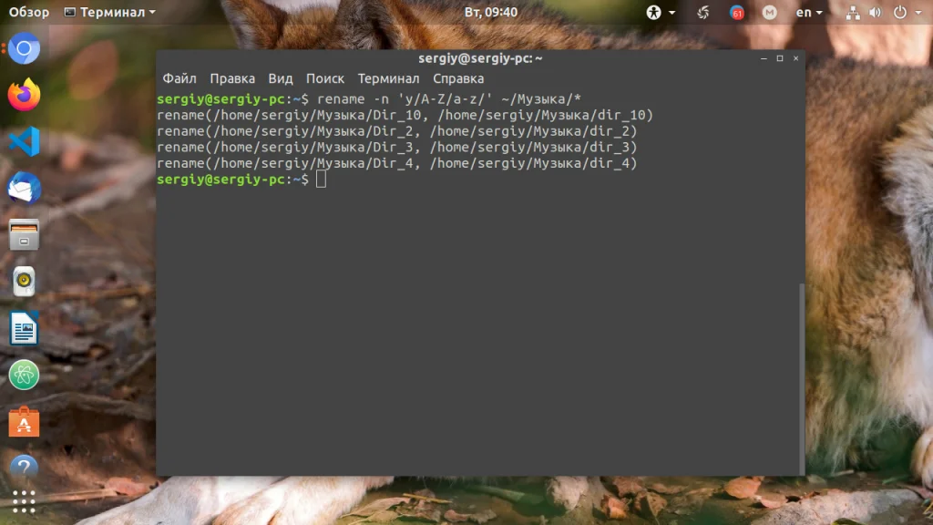Переименовать папку в Linux: 6 способов от простого к сложному