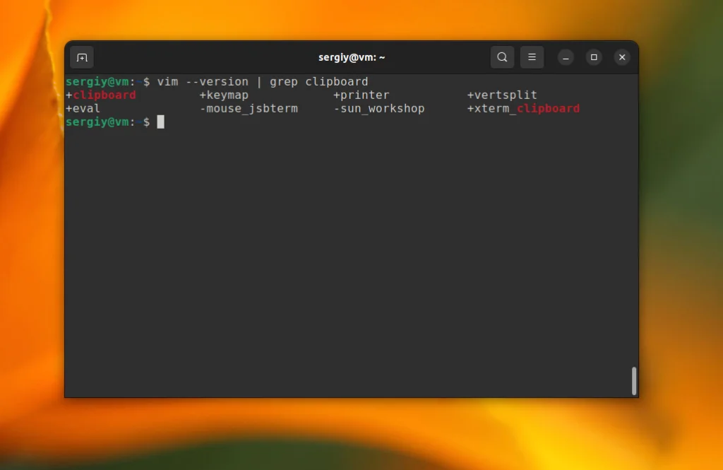 Vim: Как выжать максимум из легендарного редактора и ускорить работу в разы