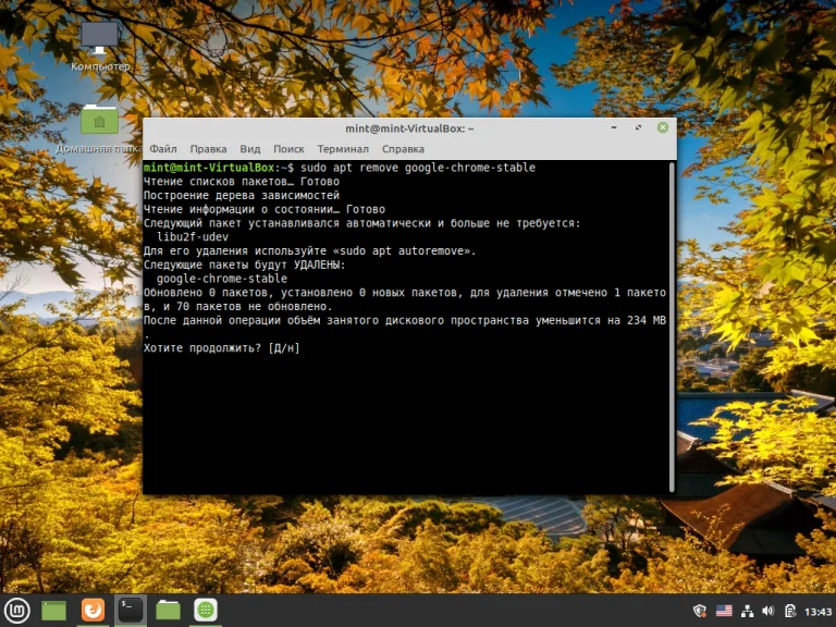 Установи Google Chrome в Linux Mint: 3 рабочих способа для уверенных пользователей