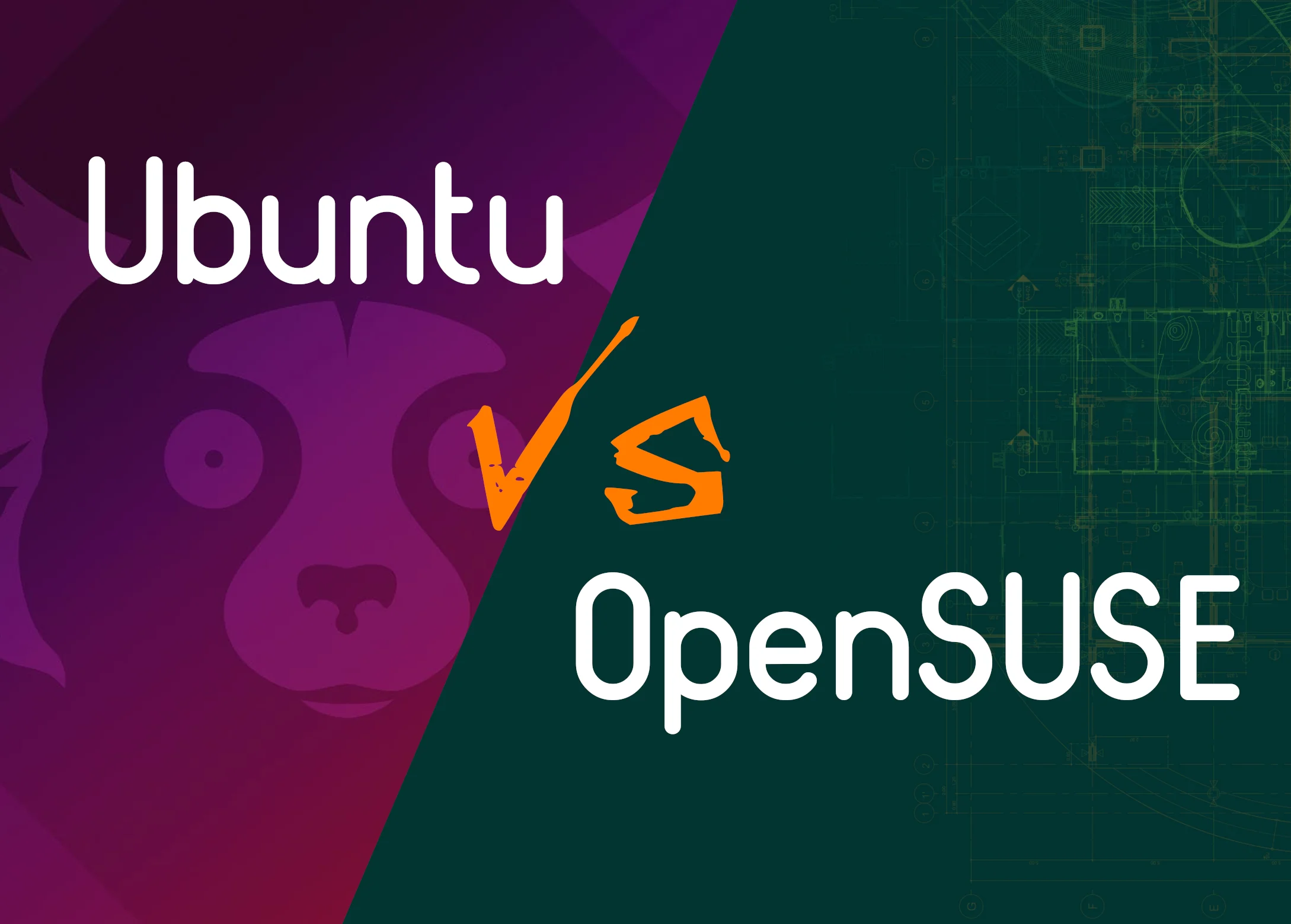 Ubuntu или OpenSUSE: Какой Linux выбрать новичку в 2024?