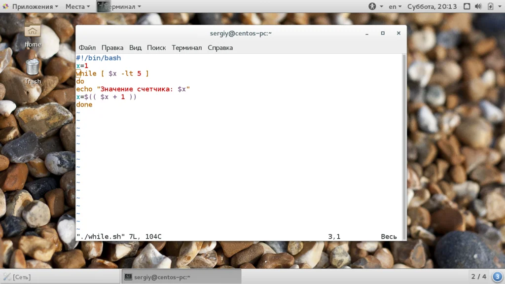 Bash: Циклы for, while, until — Пишем Скрипты как Профи