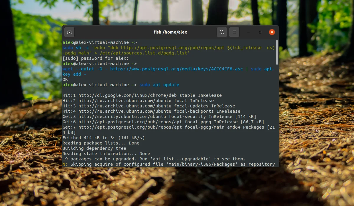 PostgreSQL в Ubuntu: Полная установка и настройка за 10 минут