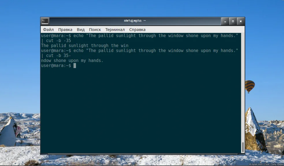Команда cut в Linux: как легко вырезать нужные части текста