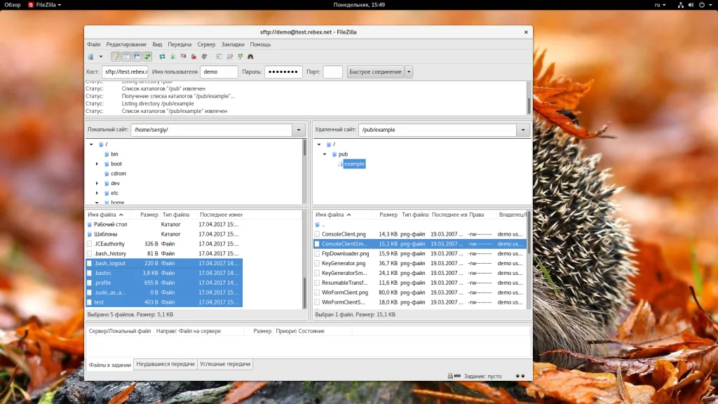 FileZilla: Полное руководство по работе с FTP-клиентом для начинающих
