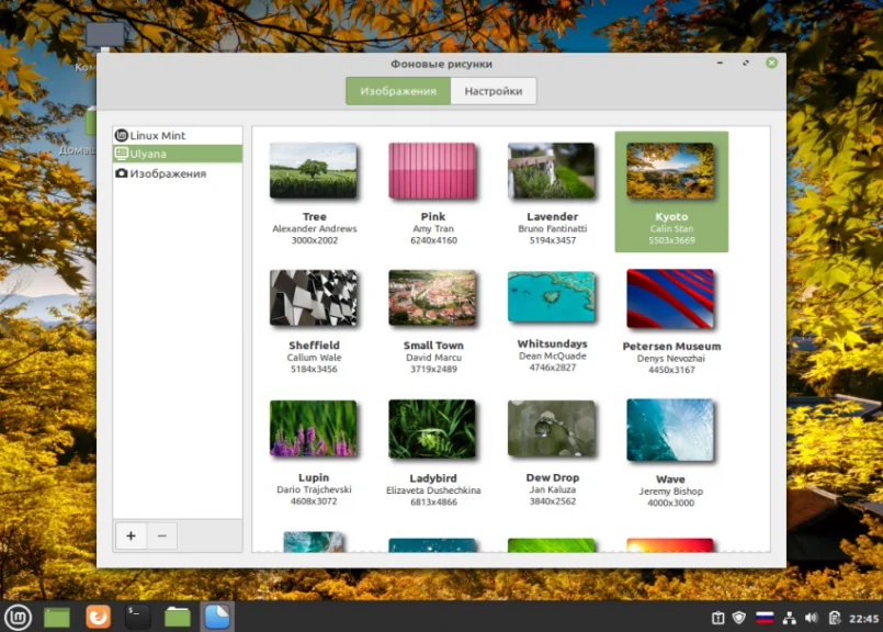 Linux Mint 20: Полная настройка системы после установки для идеальной работы