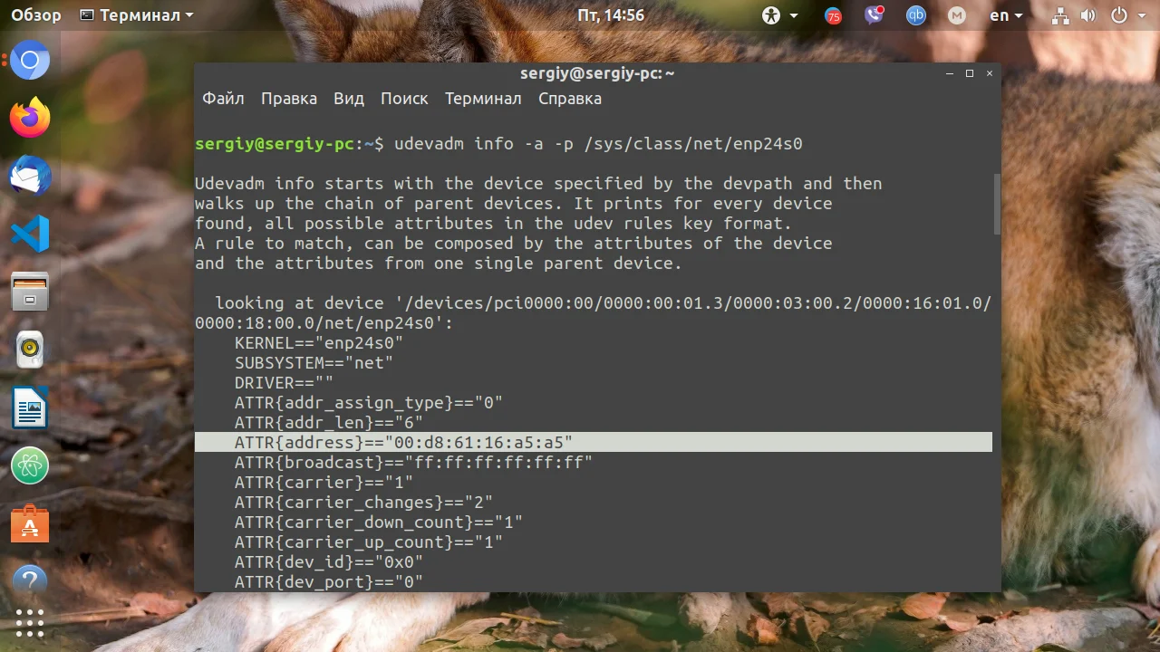 Укрощаем железо: Полный контроль над устройствами в Linux с помощью udev