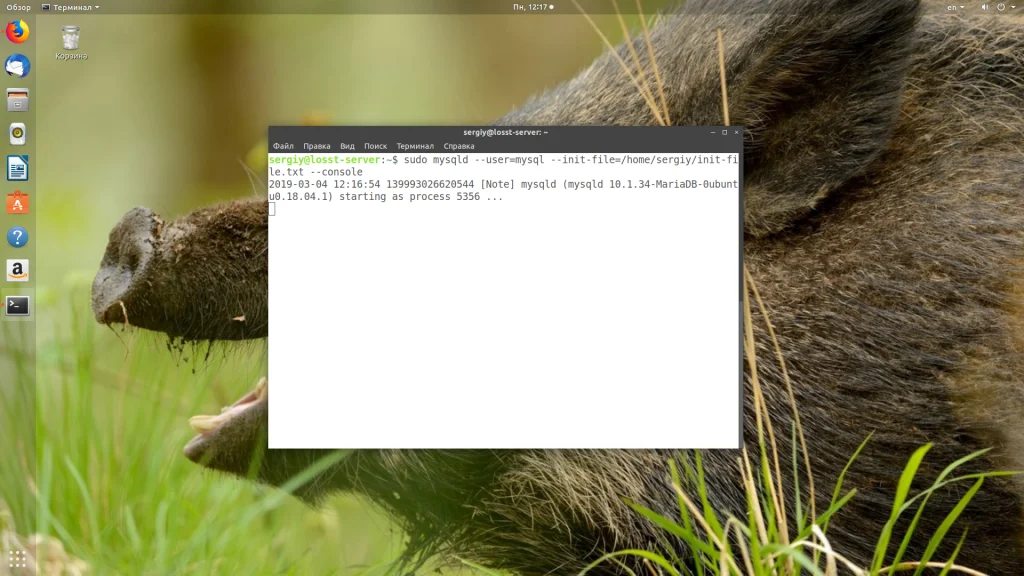 Забыли пароль root в MySQL? Восстановите доступ за 5 минут!