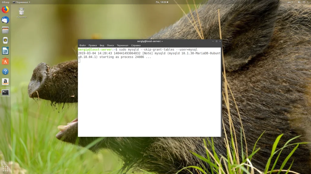 Забыли пароль root в MySQL? Восстановите доступ за 5 минут!