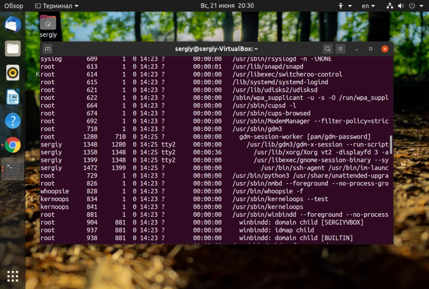 Процессы Linux: как увидеть всё, что скрыто от глаз