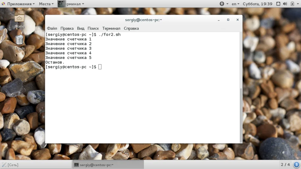 Bash: Циклы for, while, until — Пишем Скрипты как Профи