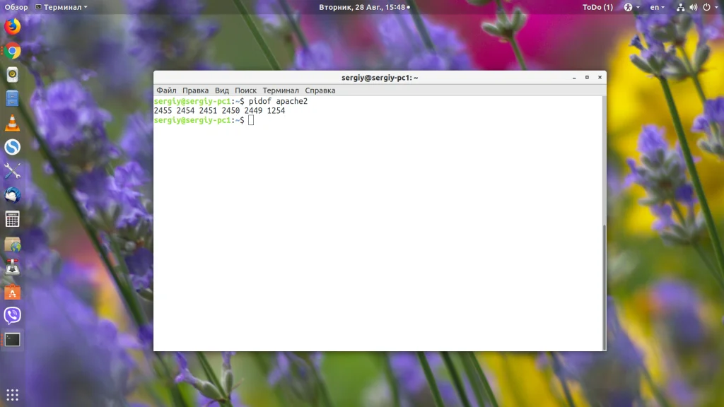 PID процесса в Linux: 4 способа найти и обезвредить любой процесс