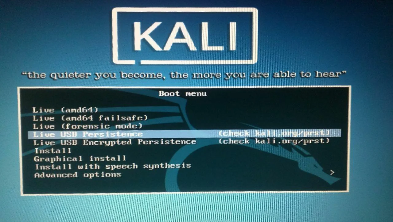 Kali Linux с флешки: Полная инструкция по созданию портативной хакерской ОС