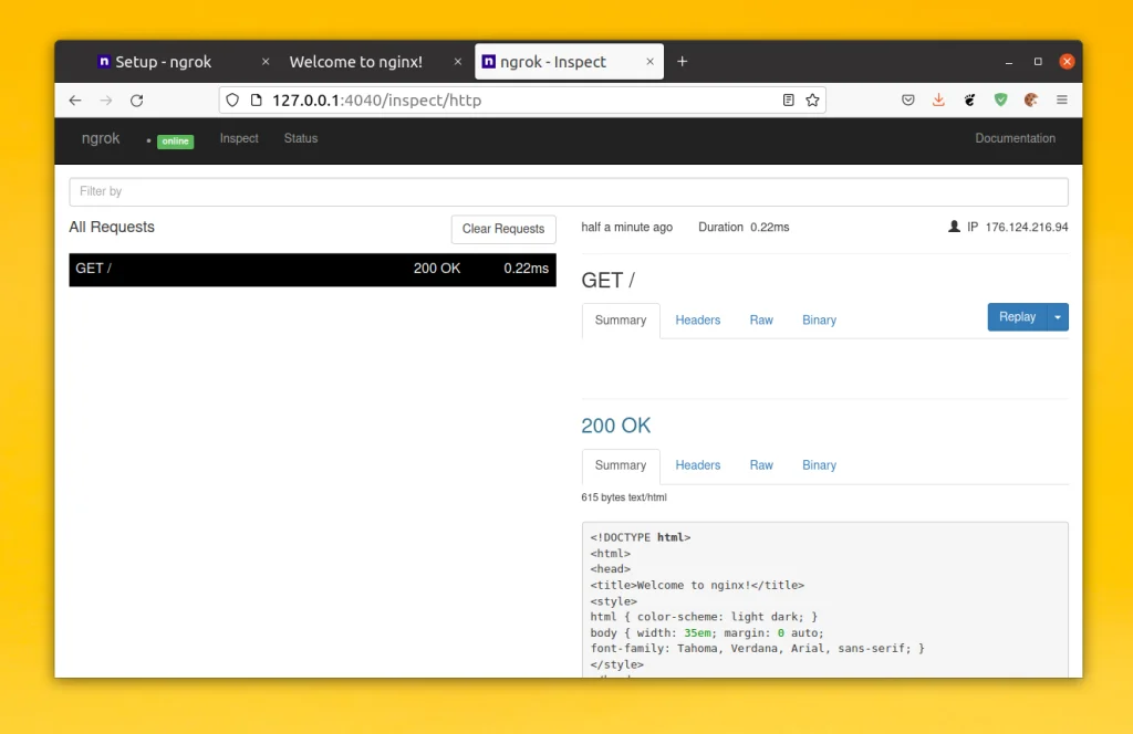 Ngrok: Как вывести локальный сервер в интернет за 5 минут