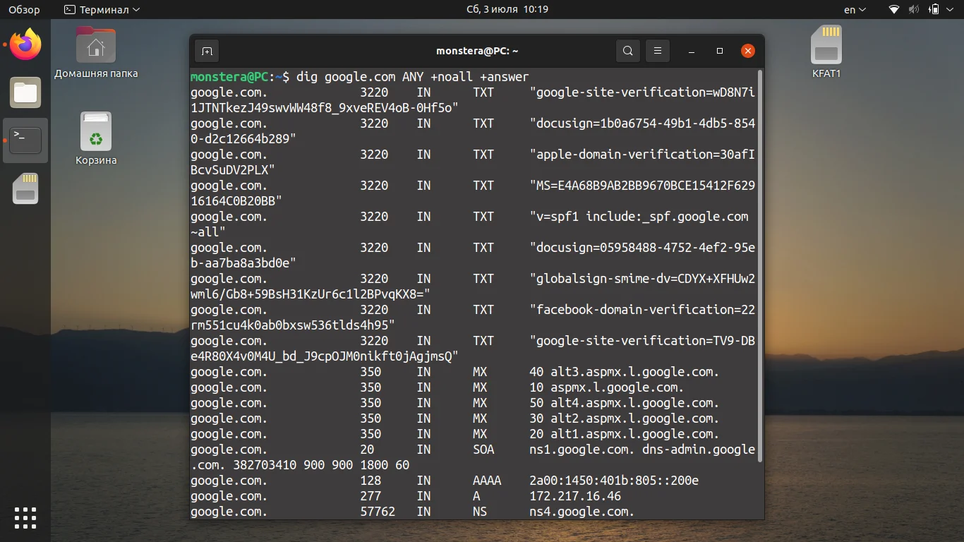 Dig в Linux: Полное руководство по мощному DNS-детективу