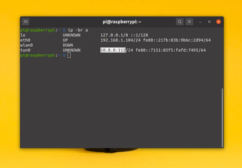 Забудьте о смене IP: Как закрепить постоянный адрес для устройств в OpenVPN