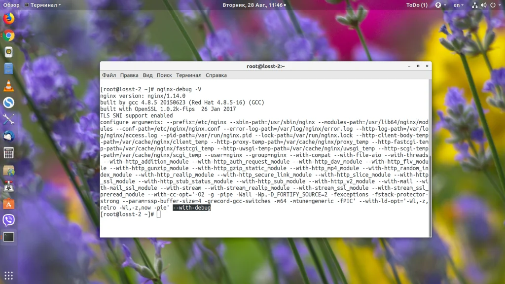 Страница не найдена в Nginx: как быстро найти и исправить причину ошибки 404