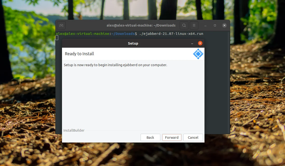 Свой Jabber-сервер на Ubuntu 20.04 за 5 минут: полный гайд по установке ejabberd