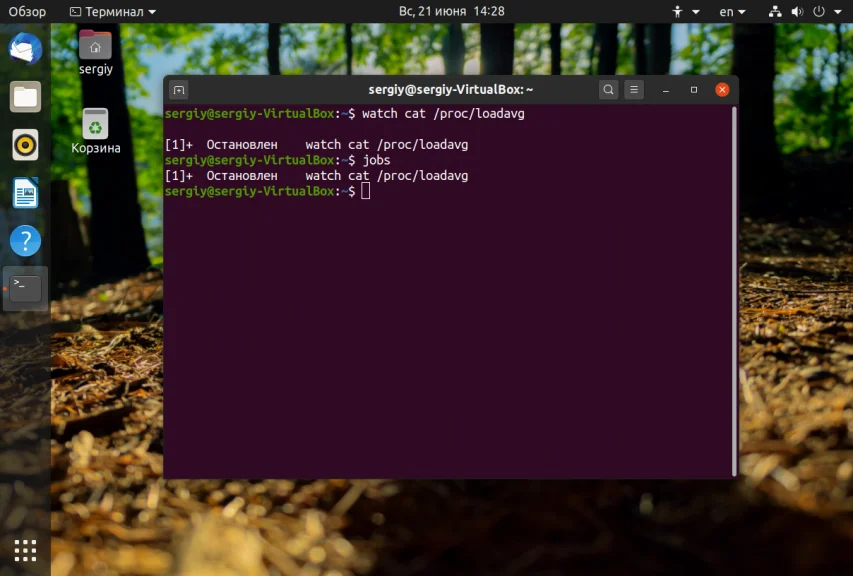 Терминал Linux: 20+ горячих клавиш для скорости и эффективности