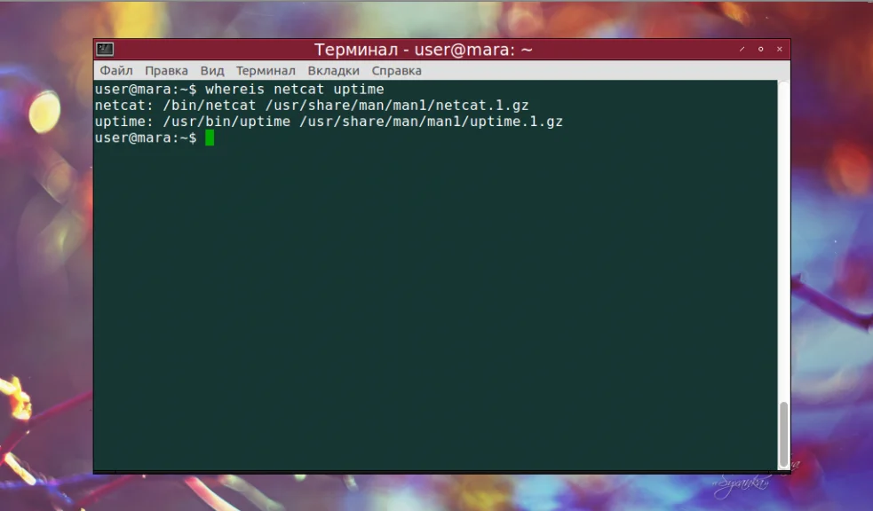 Whereis в Linux: Как быстро найти любой файл или команду в системе