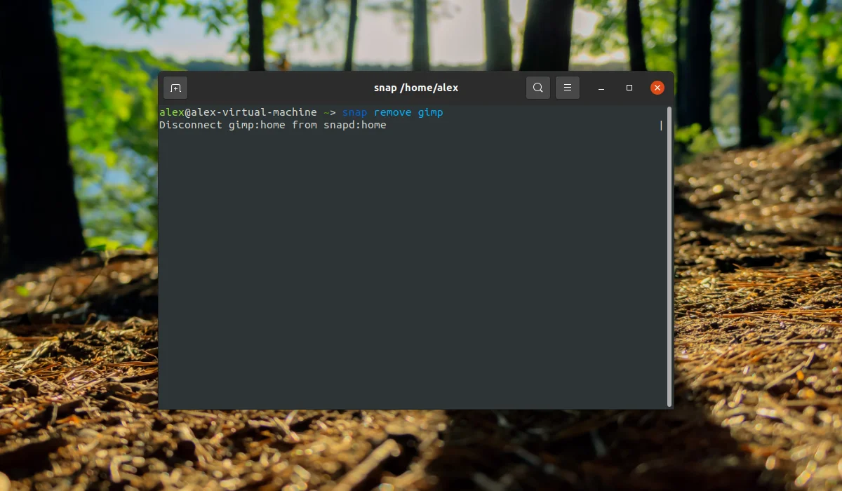 GIMP в Ubuntu: 4 простых способа установить мощный фоторедактор