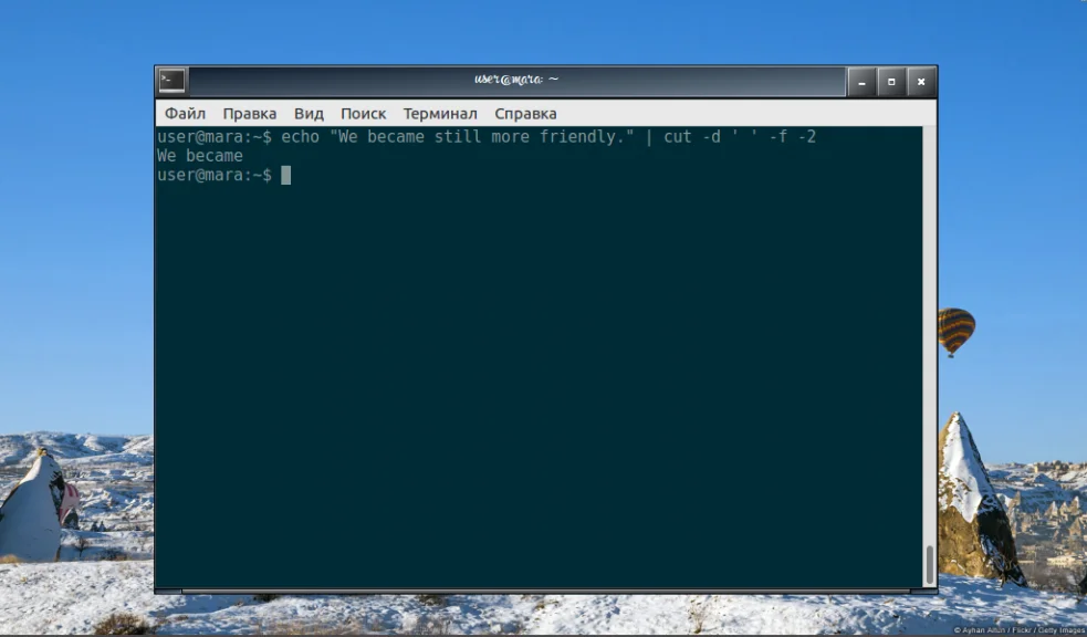 Команда cut в Linux: как легко вырезать нужные части текста