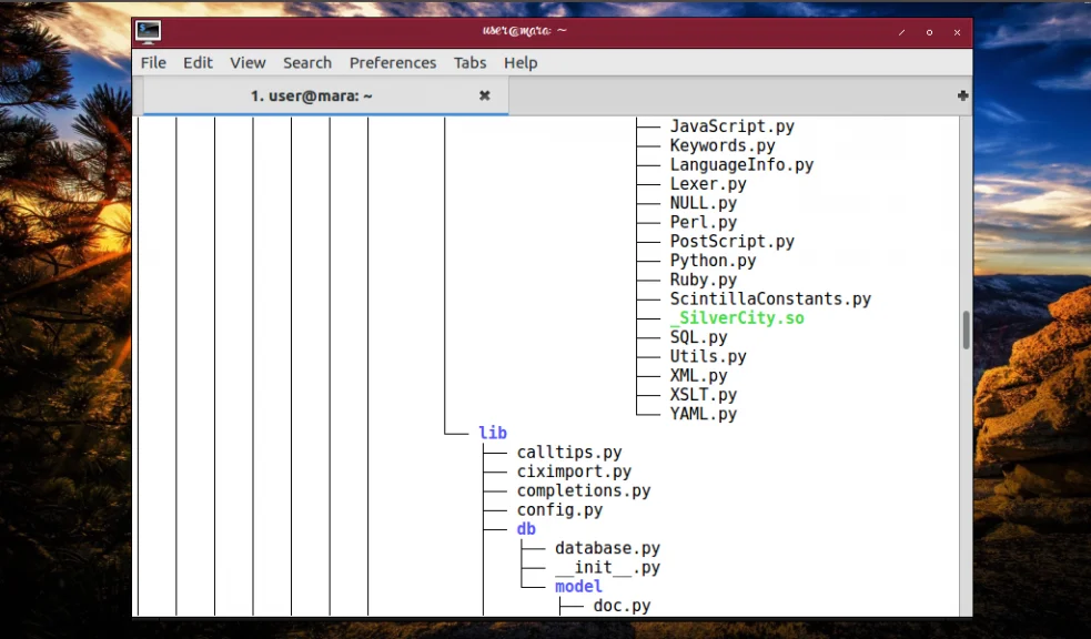 Tree: Ваш гид по джунглям файловой системы Linux
