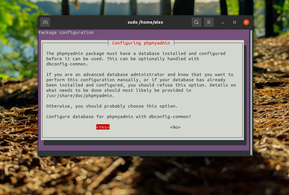 PhpMyAdmin на Ubuntu 20.04: Полная инструкция по установке и настройке с Nginx