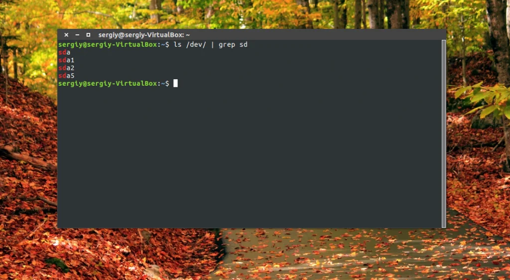 Где найти диски в Linux: 5 способов посмотреть все подключенные накопители