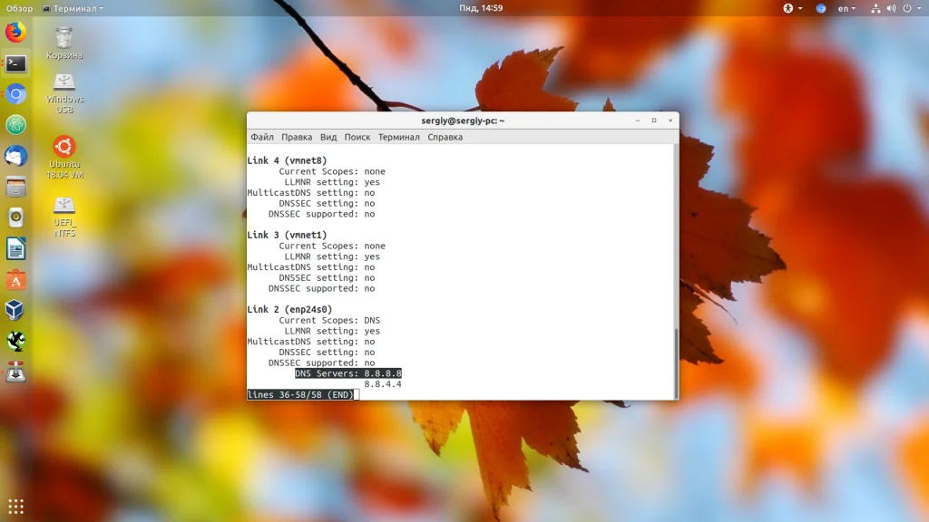 Где искать DNS в Linux: 3 рабочих способа, которые вы не знали