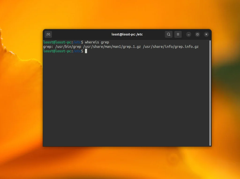 Найди что угодно в Linux: 10 способов поиска файлов, о которых ты не знал