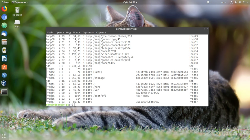 Где смотреть UUID диска в Linux: 4 простых способа